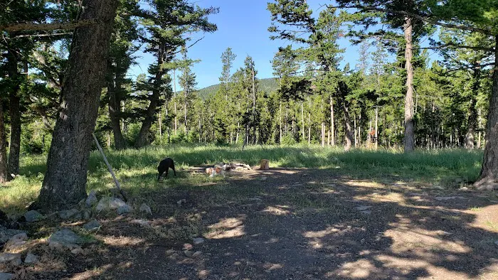 Daisy Dean Camp Campground Picture 2