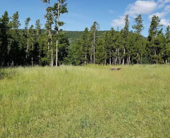 Daisy Dean Camp Campground