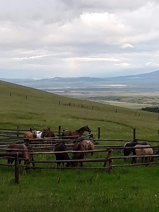 Daisy Dean Camp Campground Picture 6