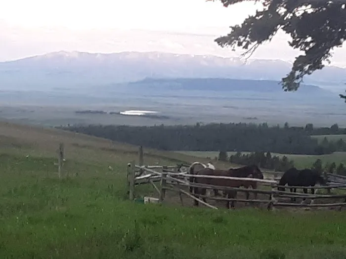 Daisy Dean Camp Campground Picture 10