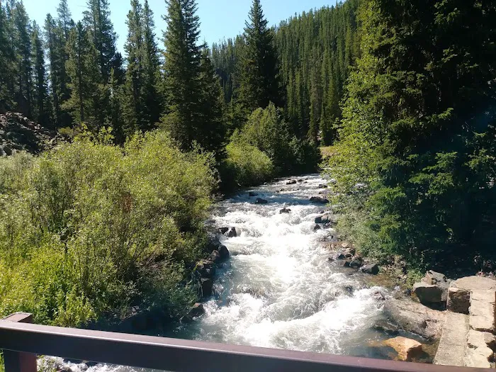 Many Pines Campground Picture 9