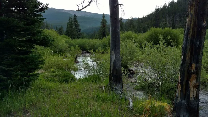 Many Pines Campground Picture 7