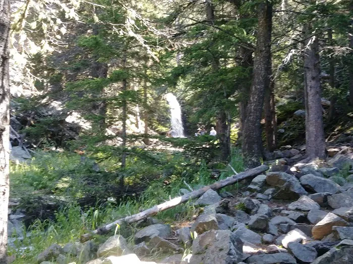 Many Pines Campground Picture 4