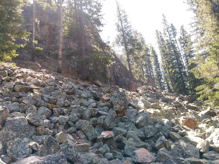 Many Pines Campground Picture 1