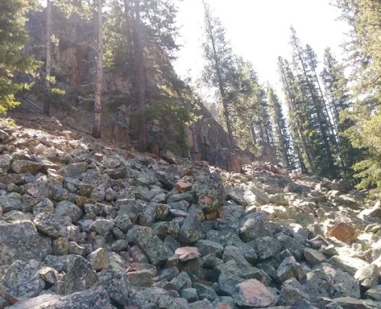 Many Pines Campground