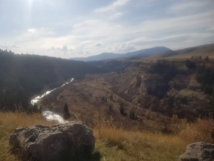 Many Pines Campground Picture 5