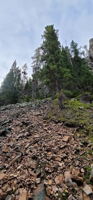 Many Pines Campground Picture 6