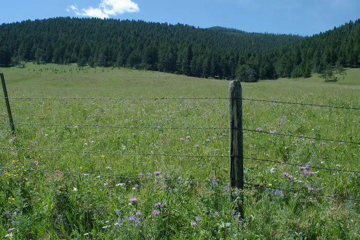 Dry Wolf Campground Picture 9