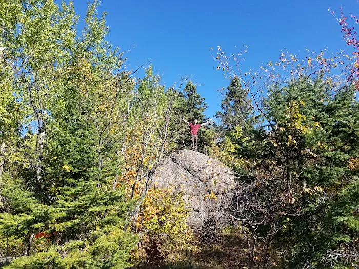 Beaver Pond Camp Picture 3