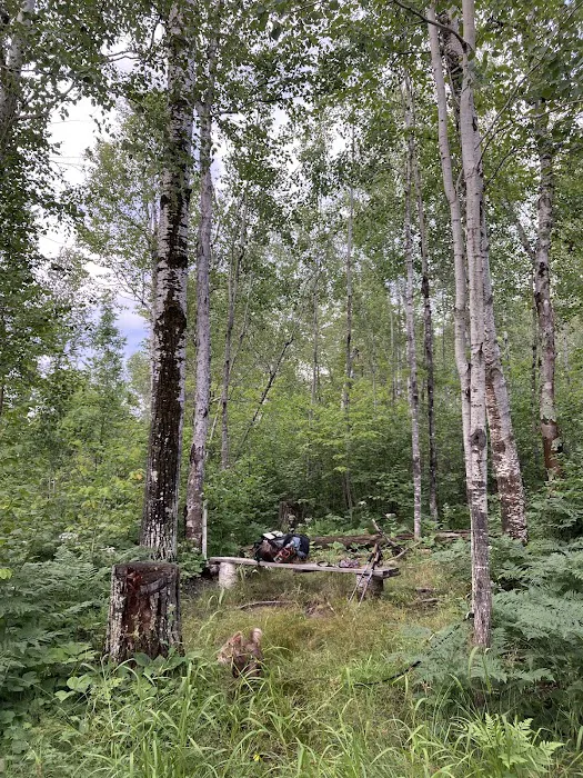 Beaver Pond Camp Picture 6