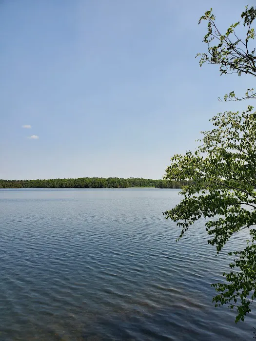 Osier Lake Campground Picture 1