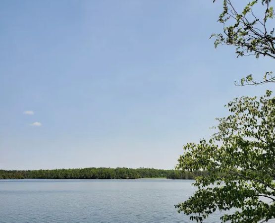 Osier Lake Campground