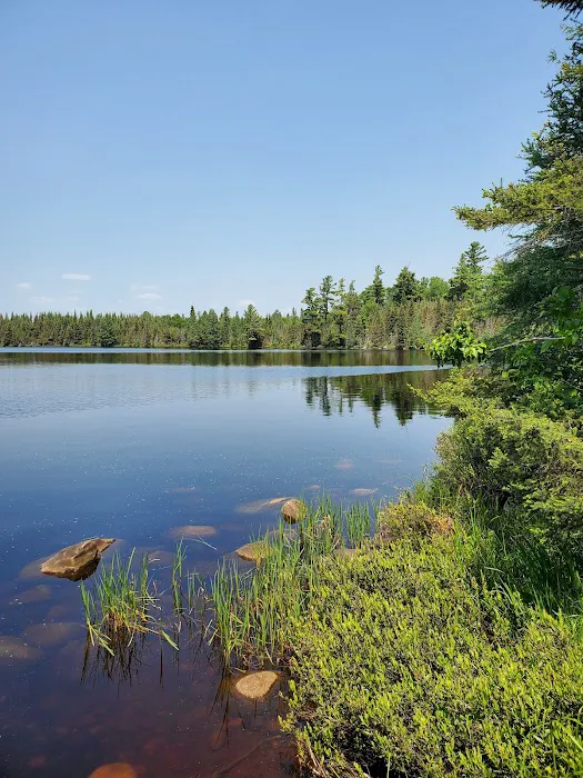 Osier Lake Campground Picture 2