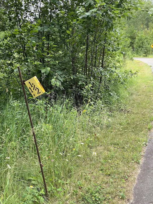 Birch Lake RV Park Picture 9