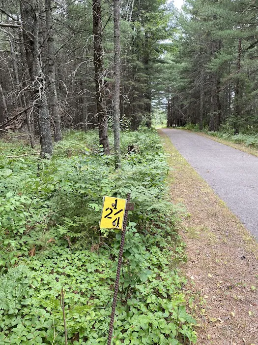 Birch Lake RV Park Picture 4