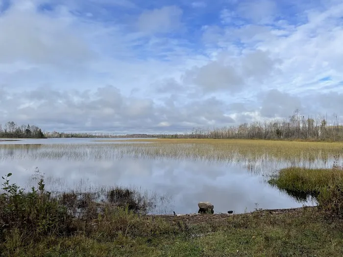 McDougal Lake Campground Picture 1