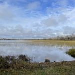 McDougal Lake Campground