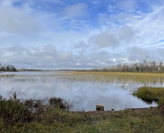 McDougal Lake Campground