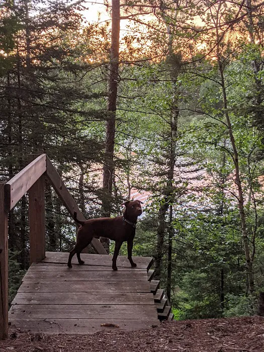 McDougal Lake Campground Picture 7