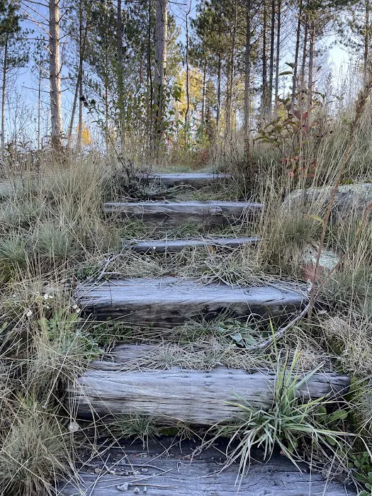 McDougal Lake Campground Picture 4