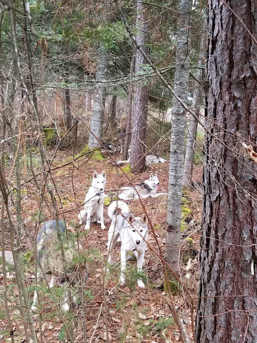 Little Isabella River Campground Picture 5