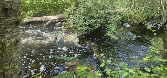 Little Isabella River Campground Picture 1