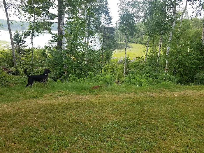 Birch Lake Campground Picture 6