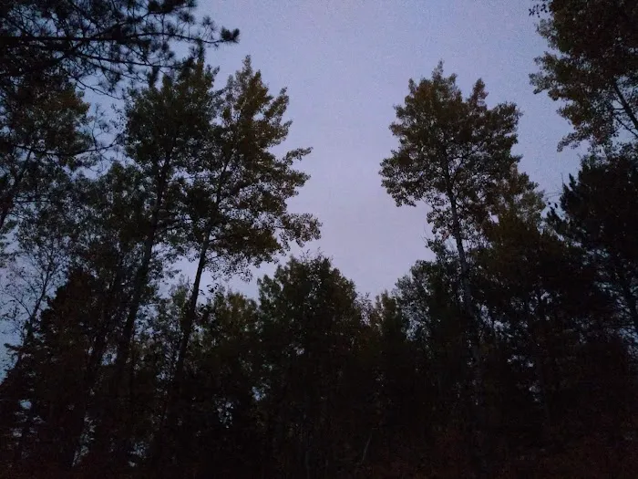 Birch Lake Campground Picture 5