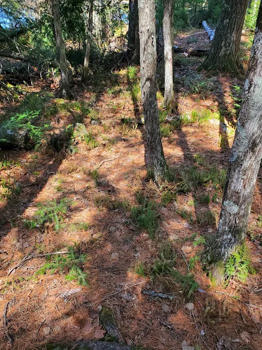 South Kawishiwi River Campground Picture 4