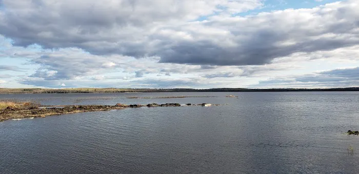 Big Rice Lake Rustic Campground Picture 5