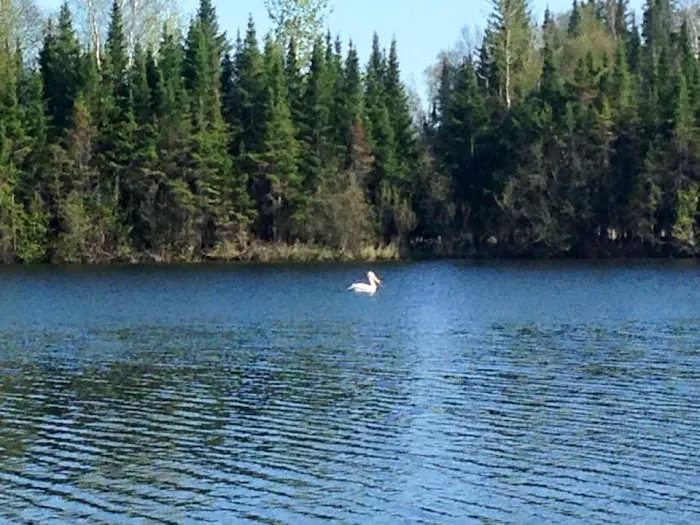 West-Two Rivers Campground Picture 10