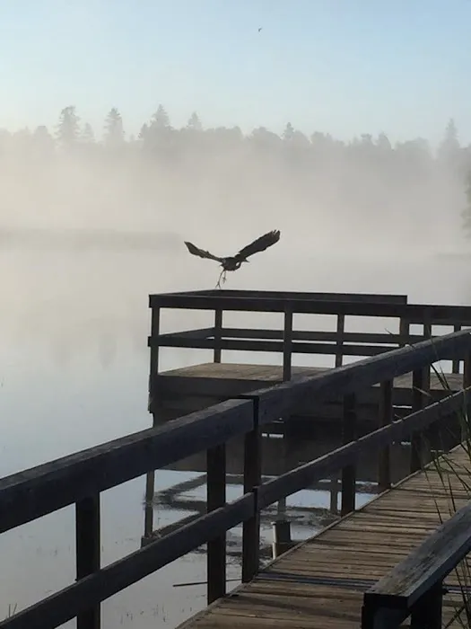 West-Two Rivers Campground Picture 5