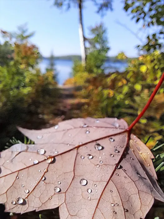 Pfeiffer Lake Campground Picture 5