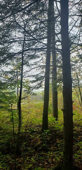 Stubler Beach and Campground Picture 4