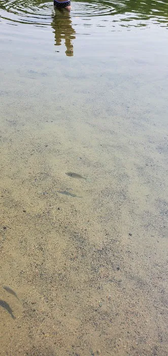 Stubler Beach and Campground Picture 5