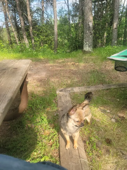 Stubler Beach and Campground Picture 6