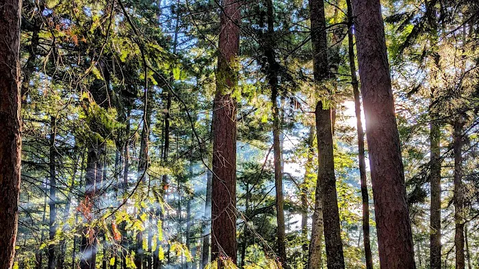 Clubhouse Lake Campground Picture 1