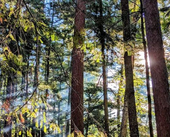 Clubhouse Lake Campground