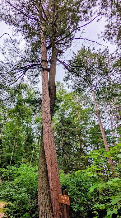 Clubhouse Lake Campground Picture 5