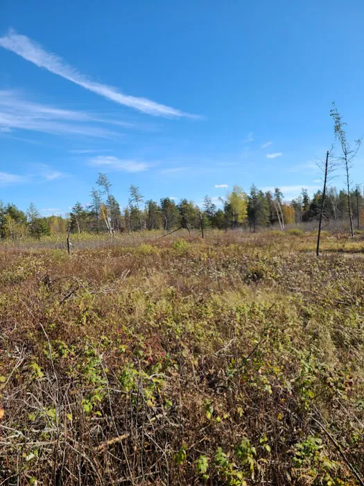 Cut Foot Sioux Horse Camp Picture 9