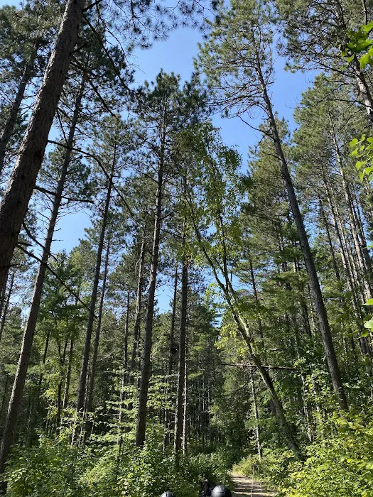 Cut Foot Sioux Horse Camp Picture 10