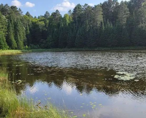 Cut Foot Sioux Horse Camp