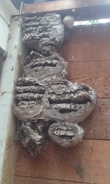 Star Island Campground Picture 1