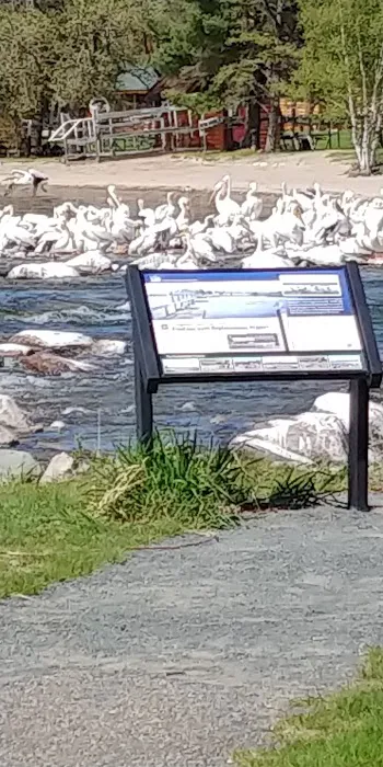 Knutson Dam Campground Picture 2