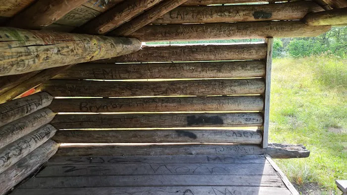 Island Point Campsite Picture 6