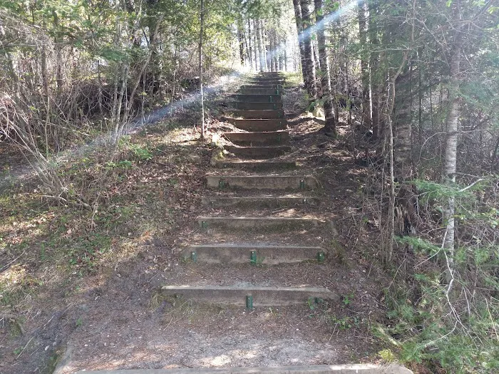 Island Point Campsite Picture 2