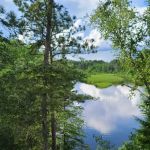 Island Point Campsite