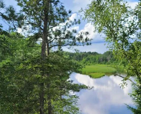 Island Point Campsite