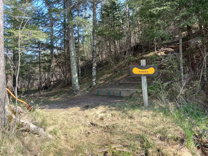 Island Point Campsite Picture 4