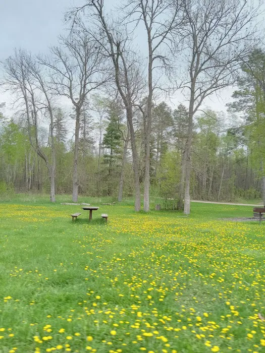 Group Camp Picture 5